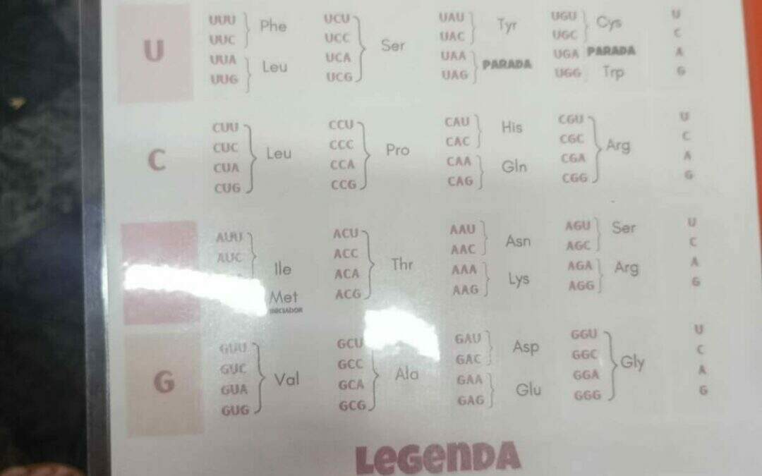 Bingo do DNA