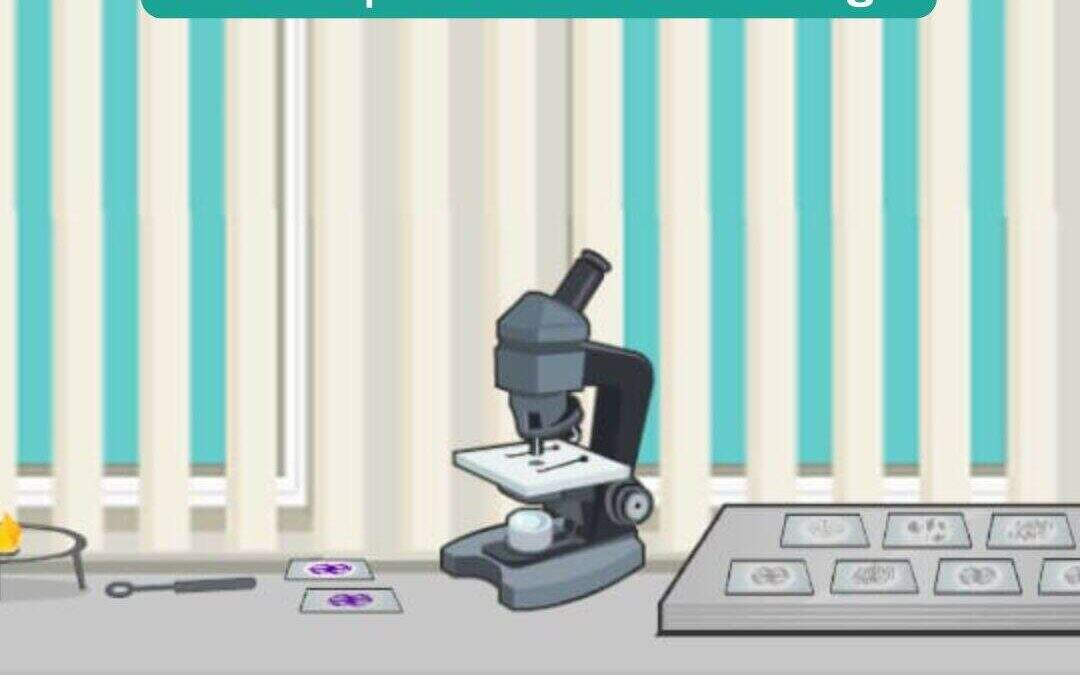 Laboratório online do Bernoulli | Bacteriologia