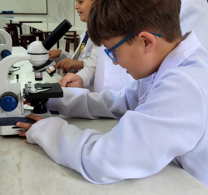 Um mergulho no mundo Microscópico
