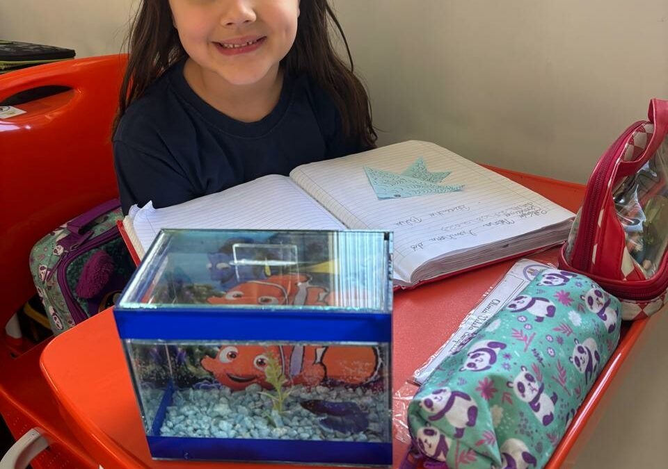 Peixinho Blue