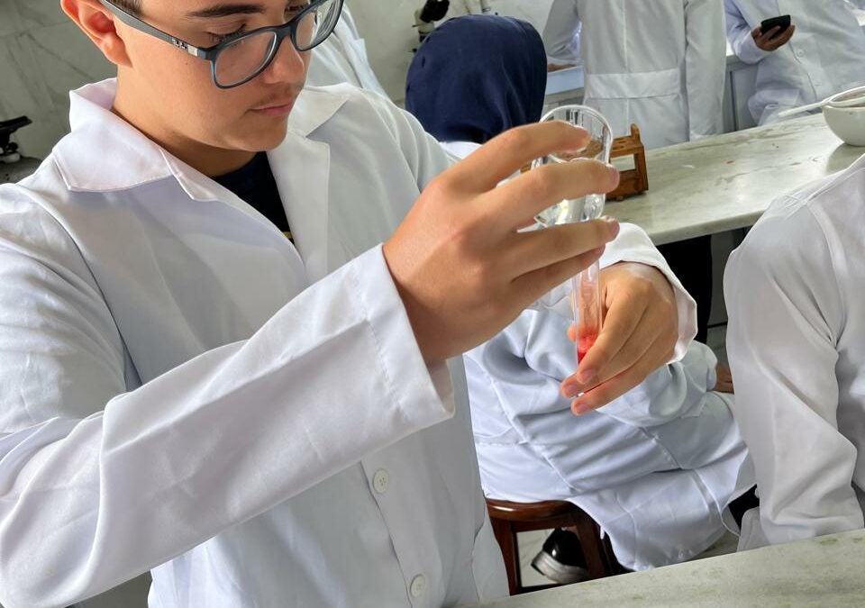 Extração de DNA do Morango